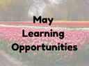 Field of blooming tulips with words "May Learning Opportunities"