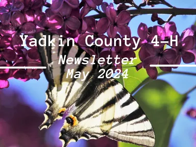 May Newsletter
