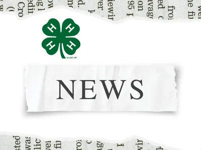 monthly newsletter