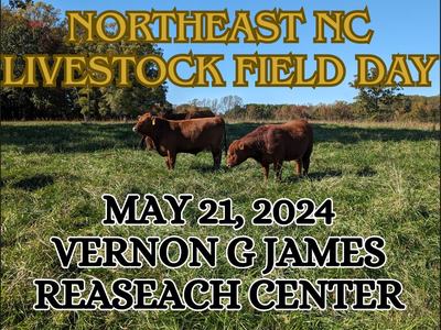 Three brown cattle grazing; text: NORTHEAST NC LIVESTOCK FIELD DAY, May 21, 2024, Vernon G James