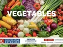 Vegetable thumbnail