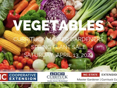Vegetable thumbnail