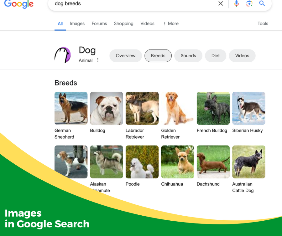 Google search screenshot image results