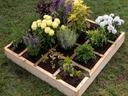 A 4 x 4 foot raised bed divided into 16 squares with flowers and herbs planted in each of the squares.