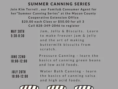 Summer Canning Series Flyer