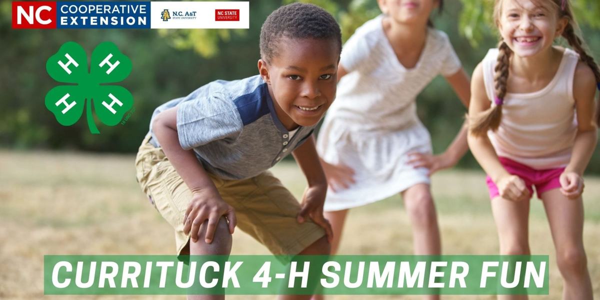 4-H Summer Fun