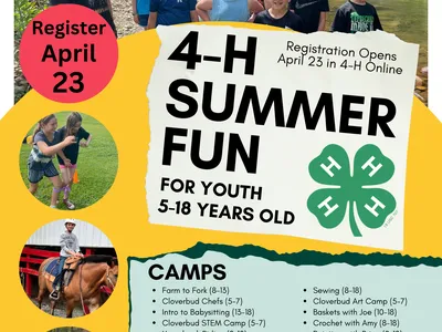Colorful summer fun flyer