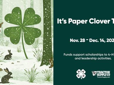 Paper Clover Campaign. All text is in the article.