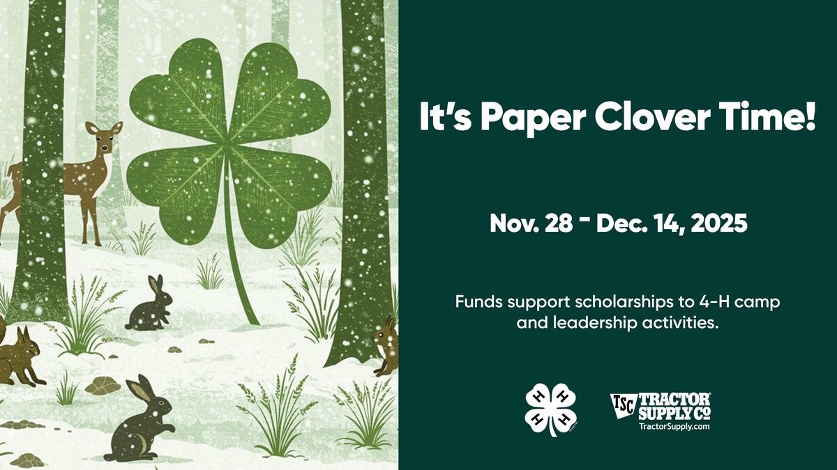 Paper Clover Campaign. All text is in the article.
