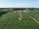 Aerial view of rectangular crop plots in grid pattern leading to farm buildings and grain silos