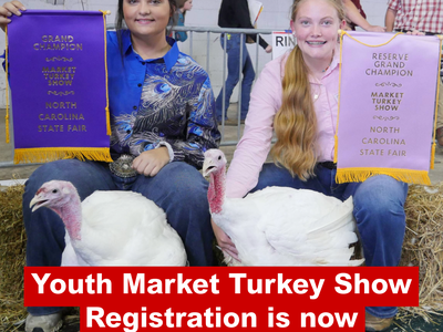 YMTS registration open now