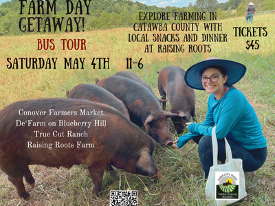 Person crouching feeding four pigs in a field; text: "FARM DAY GETAWAY! Bus tour Sat May 4, 11–6. Tickets $45"