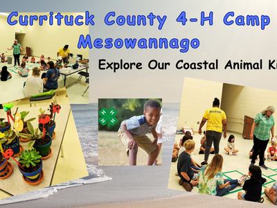 Kids at day camp for 4-H