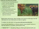 cattle reproduction workshop