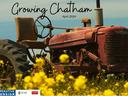 Red vintage tractor in a field of yellow flowers; text "Growing Chatham April 2024"