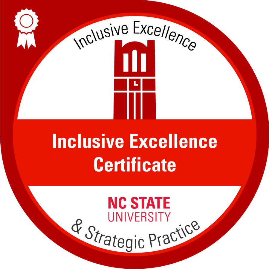 Inclusive Excellence and Strategic Practice Badge