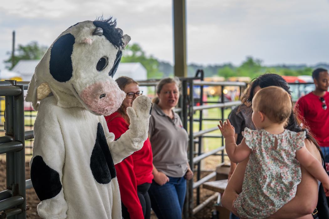 Person in cow mascot costume waving at a toddler held by an adult