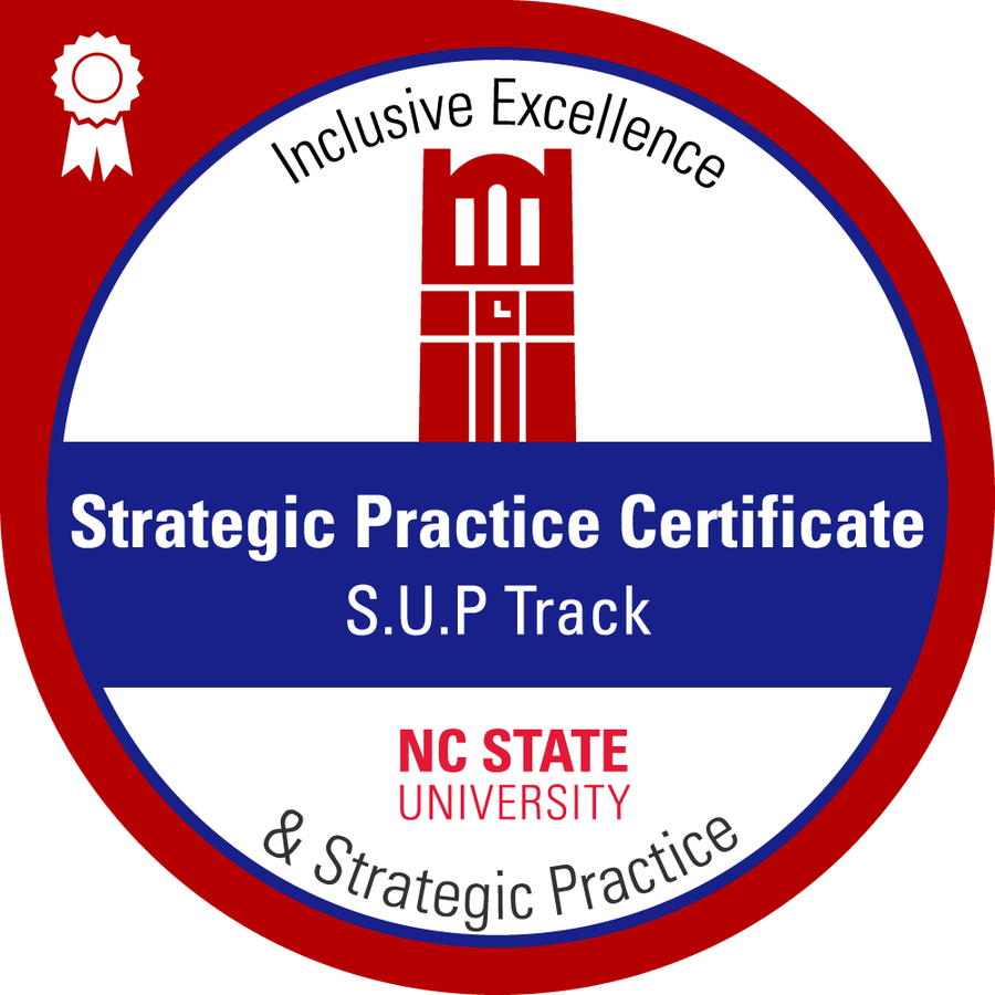 Strategic Practice Certificate (SUP)