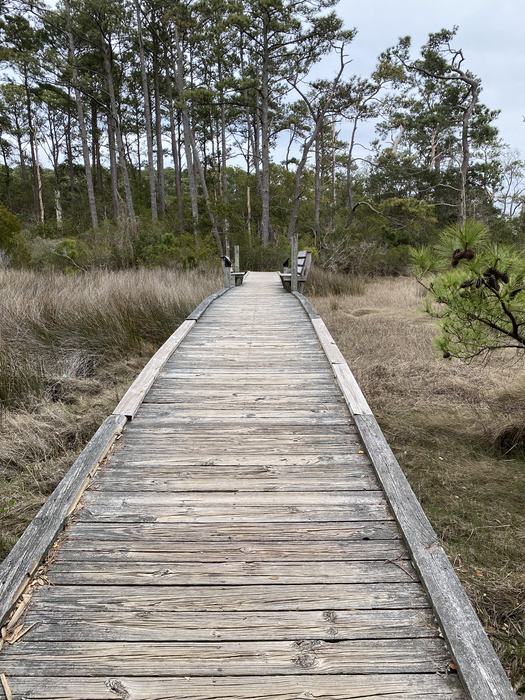 A walkway in a marsh.
