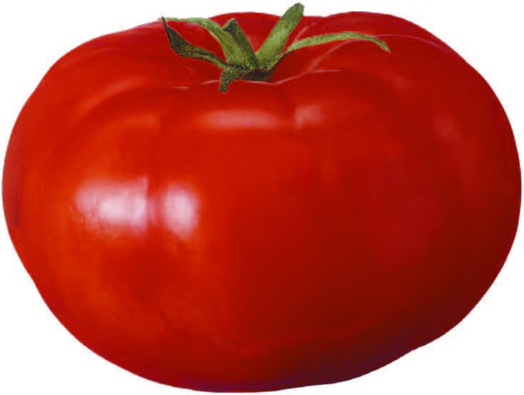 a tomato