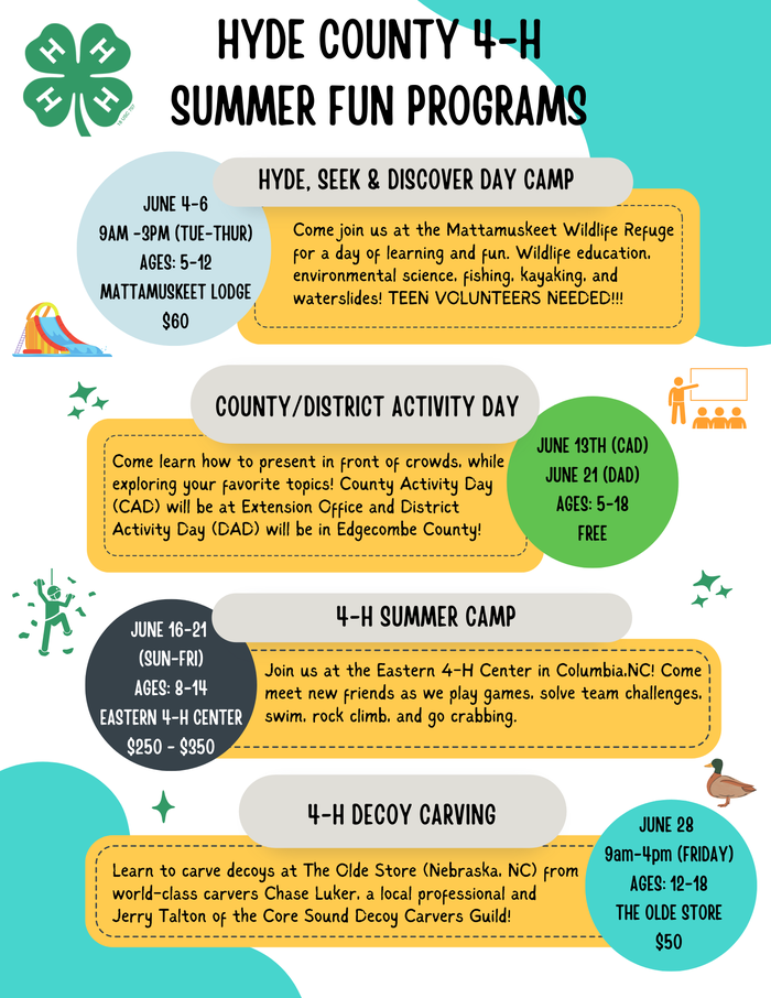 Summer Fun Programs