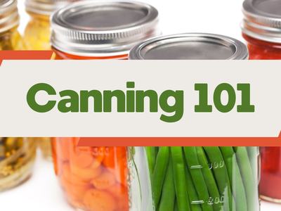 Mason jars of preserved vegetables with banner reading "Canning 101"