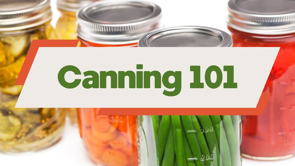 Mason jars of preserved vegetables with banner reading "Canning 101"