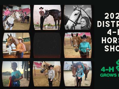 2024 District 4-H Horse show participants