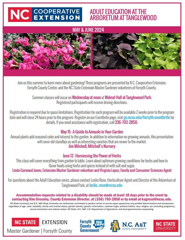 Summer 2024 Adult Education flyer