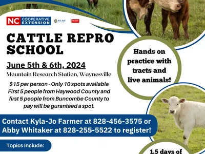 Repro school