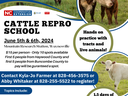 Repro school