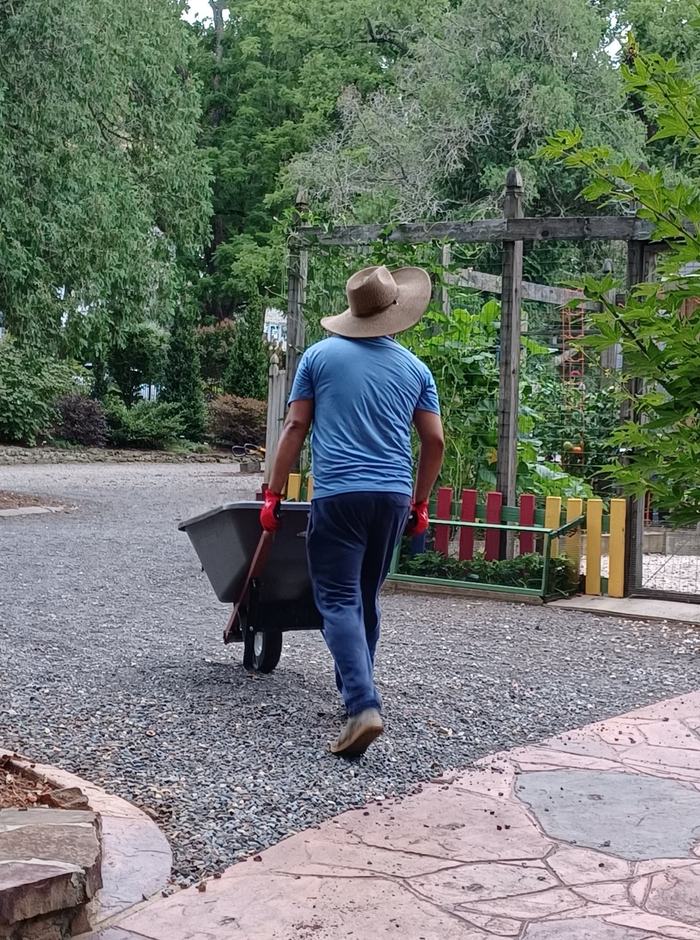 volunteer pushing a wheelbarrow