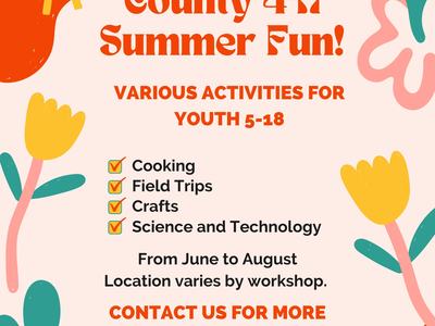 Mitchell County 4-H Summer Fun poster