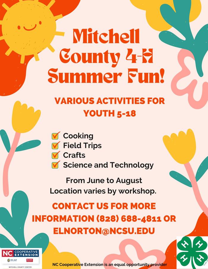 Mitchell County 4-H Summer Fun poster