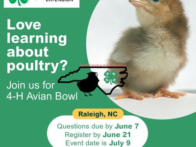 Love learning about poultry? hosted by NC 4-H and NC State Extension