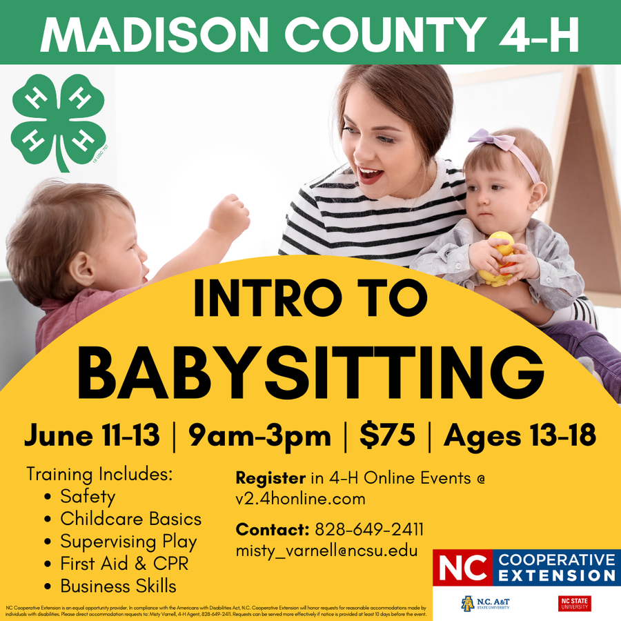 Image of babysitter with children