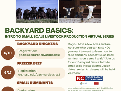 flyer for backyard basics webinars, includes picture of cow, chickens, and goats. Includes program details listed below.