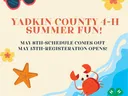 Summer Fun