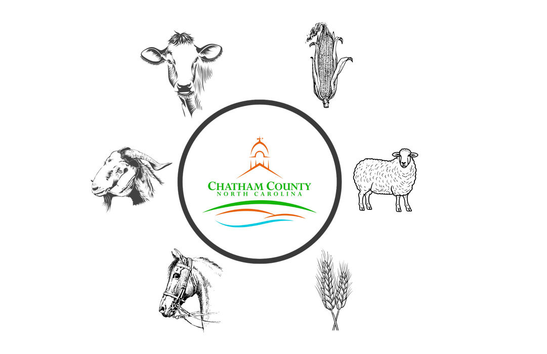Chatham County, NC logo