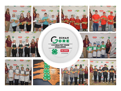 Dinah Gore Photo Collage 2024