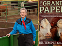 The Grandin Papers Book Cover featuring two cows