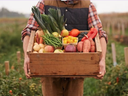 Person holding wooden crate of assorted vegetables in a farm field