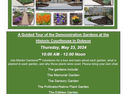 A Guided Tour of the Demonstration Gardens at the Historic Courthouse in Dobson