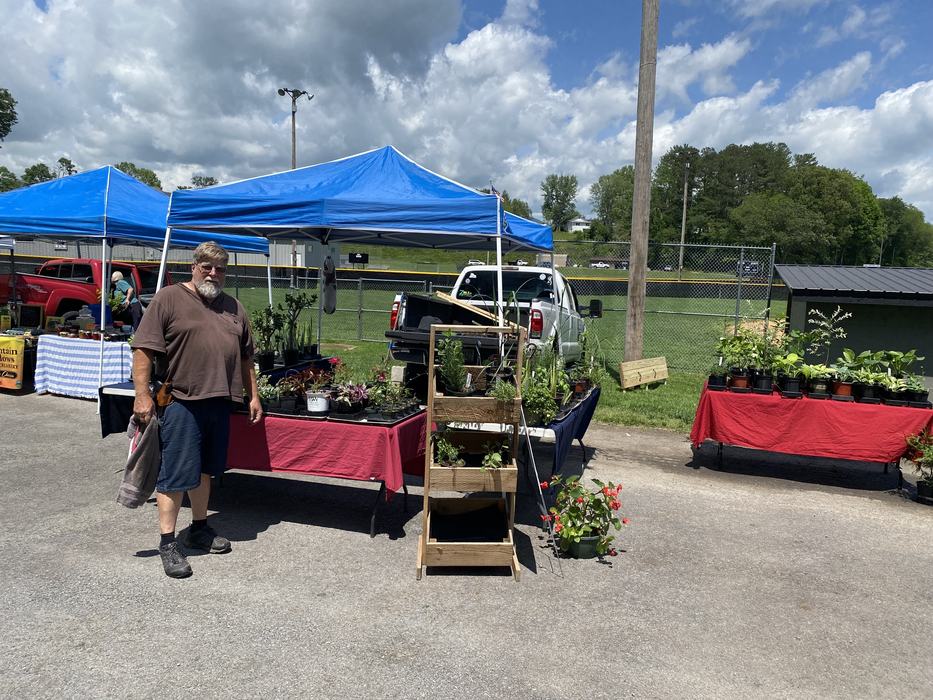 Man standing beside tables of potted plants under blue tents at an outdoor market