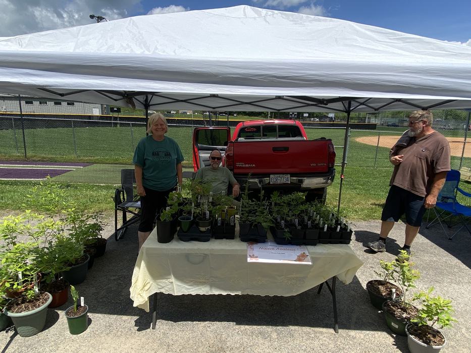 Canopy market stall with potted plants, sign "Native Azaleas", three people and red pickup