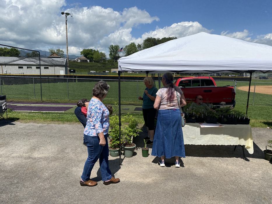 Outdoor plant sale under white canopy with people browsing near red pickup truck