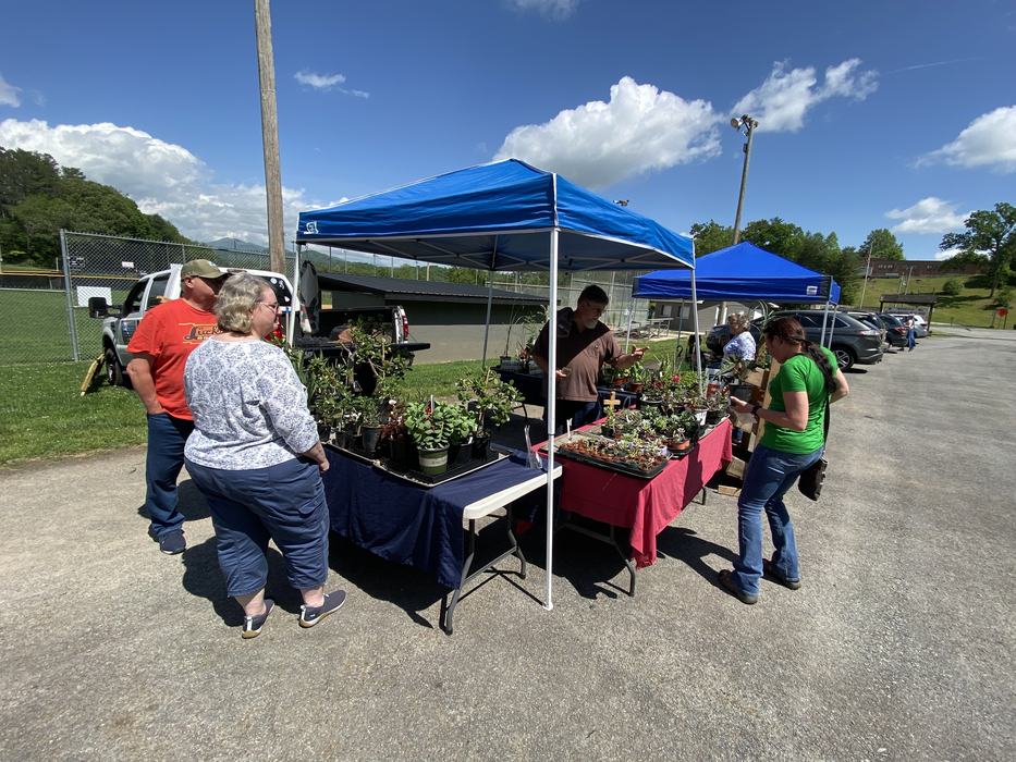 Outdoor plant vendor tent with tables of potted plants and customers browsing