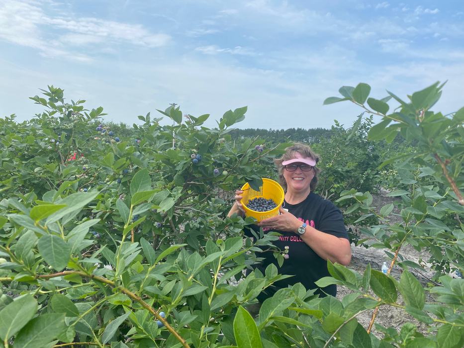 Cindy picking blueberries