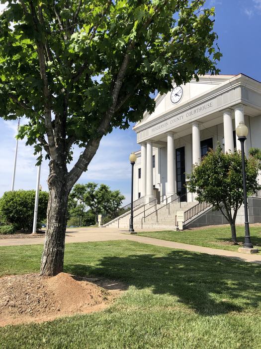 fire ants courthouse