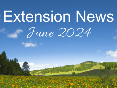 June 2024 Newsletter